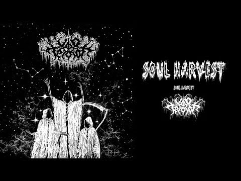 Void Terror - Soul Harvest