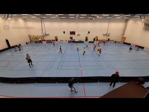 D2 SK lohko C, 16.1.2021 SBL - Welhot Flames