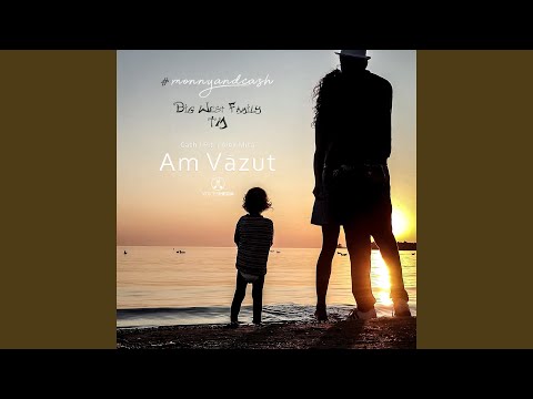 Am Vazut (feat. Alex Mica)