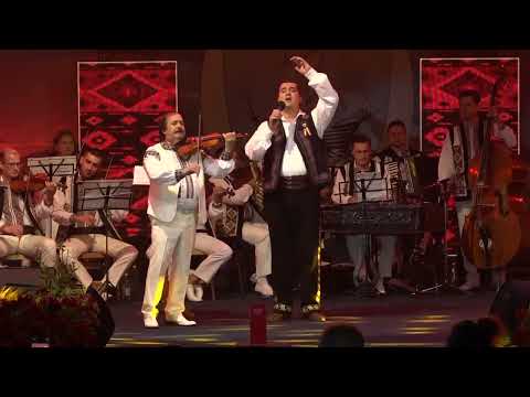 Gelu Voicu - Pusei caii la căruţă (Live Festival Brăila 2023)