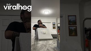Birthday Man Surprised With Miniature Dachshund || ViralHog