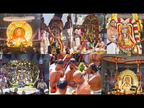 Ratha Saptami Celebrations 2024 Vahana Sevas In Tirumala Complete Video
