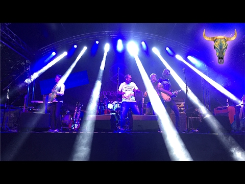 The Eagle Trail - Life In The Fast Lane