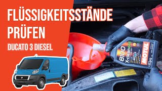 Youtube thumbnail of video "Die Flüssigkeitsstände prüfen Ducato 3 3.0 Multijet 📏"