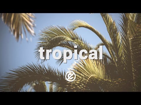 'On The Wave' by Groove Bakery 🇺🇸 | Relaxing Tropical House (Non Copyrighted Music) 🍹