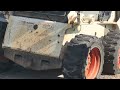 European Hornets Infest Excavator in Marlboro, NJ