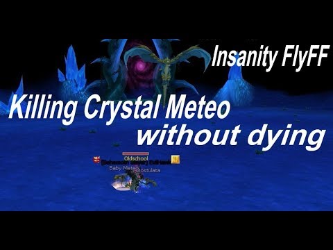 Insanity FlyFF - Crackshooter is killing Crystal Meteo without dying