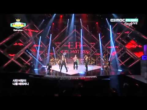 120605 MBC.Show Champion - Dalmatian - E.R