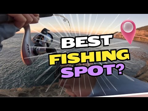 Fishing around the rock ledges of Wollongong!