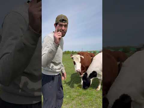 Обзор на самоходные газонокосилки 🤣