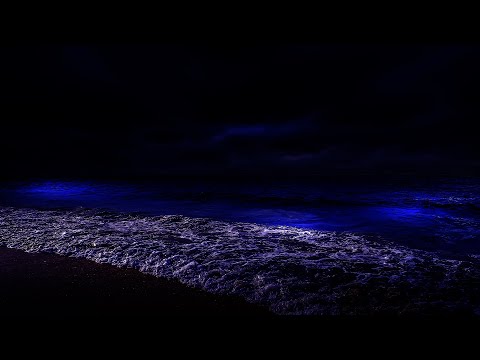 Fall Asleep On A Full Moon Night With Calming Wave Sounds - 9 Hours of Deep Sleeping on Mareta Beach