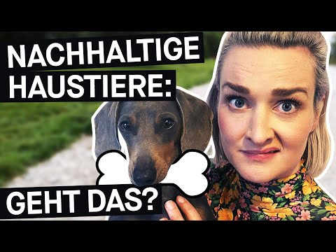 Haustiere & Nachhaltigkeit: Wie umweltfreundlich sind unsere Vierbeiner? || PULS Reportage