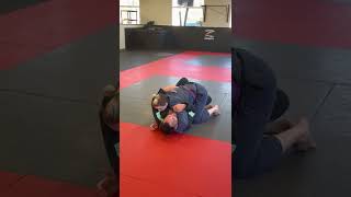 Half Guard frame recovery details