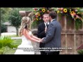 Американская свадьба / American wedding 