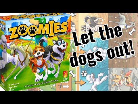 How to play Zoomies!