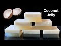 Coconut Milk Pudding Recipe | Coconut Dessert in 10 Mins|The Best Jelly#coconutjelly|#homemadejelly