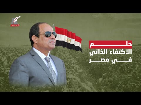 , title : 'حلم الاكتفاء الذاتي يتحقق.. كيف وصلت مصر إلى الأمن الغذائي في 7 سنوات؟'