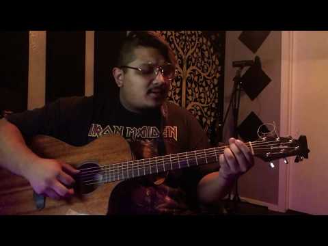 Foo Fighters - Happy Ever After (Zero Hour) Cover