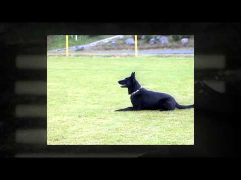 Helper work by Miroslav Brezina CZ