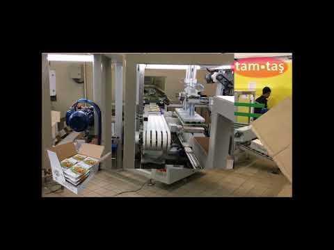 Case packer  machine for thermoformed packs