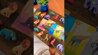 Unknown Channel - Wildlife Safari video thumbnail