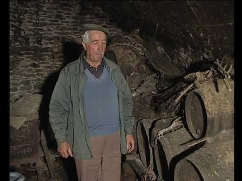 Lo vin dels Costovins