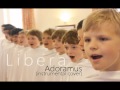 Libera - Adoramus 2012 (instrumental) 
