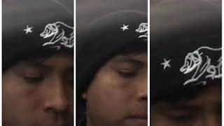 Paloma sin nido al estilo Miguel y Miguel 2019