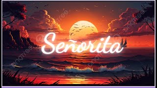 Shawn Mendes, Camila Cabello - Señorita (Lyrics) Letra