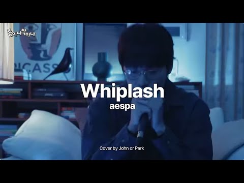 John Park(존박) - Whiplash(THEODOR Remastering)