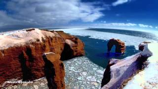 Lewis del Mar - Malt Liquor