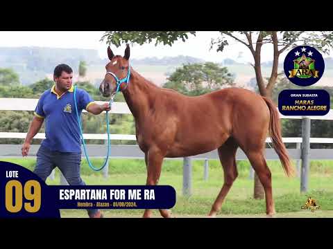 LOT 09 - SPARTAN FOR ME RA