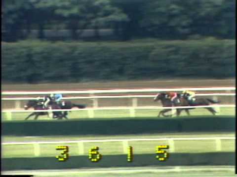 John Henry - Bowling Green Handicap (G2) - Belmont Park - 6/14/1980