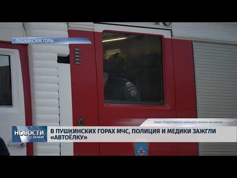 Новости Псков 27.12.2018 / В Пушкинских горах медики, МЧС и полицейские зажгли Автоёлку 