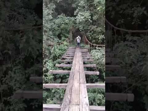 Niños en zona rural de Chameza tienen que arriesgar su vida cruzando un puente improvisado