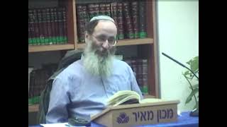 תנורו של עכנאי – האם אין הלכה כבת קול?