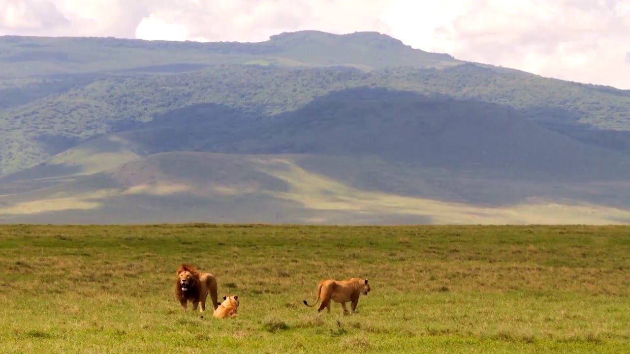 Tansania: Ngorongoro Krater (0:38)