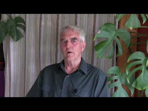 NLP Techniques - Help with Negative Self Talk - NLP eBook from Steve Andreas