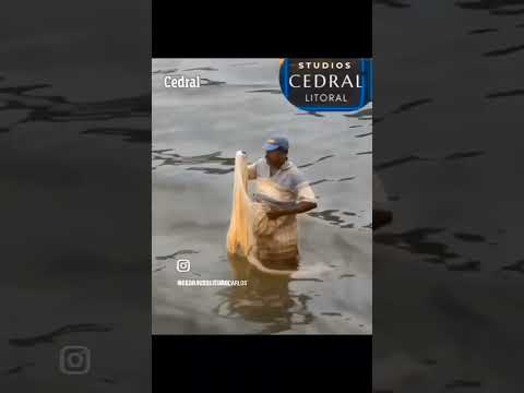 CONHEÇA A HISTÓRIA DE CEDRAL NO LITORAL OCIDENTAL MARANHENSE , COMPLETOU 62 ANOS EM 2026.