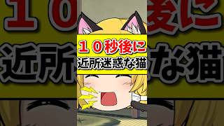 １０秒後に近所迷惑なネコ！ #shorts #ゆっくり茶番 #ゆっくり茶番劇