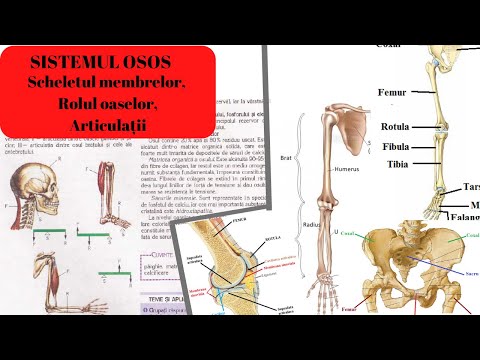 Artroza articulațiilor genunchiului gleznei și tratamentul acestora