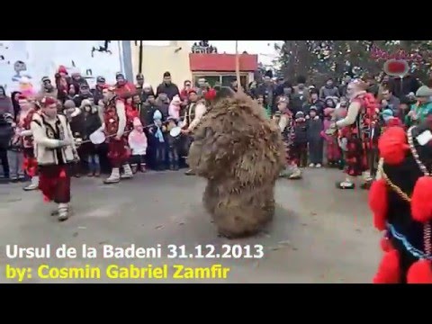 Ursul de la Badeni Scobinti 31 12 2013
