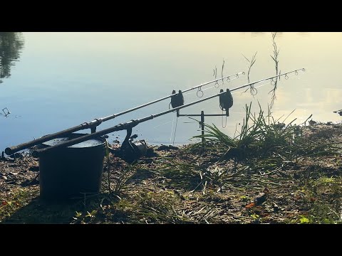 Do big carp still live here? Unknown carpfishing