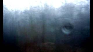 Isobel Campbell - milkwhite sheets