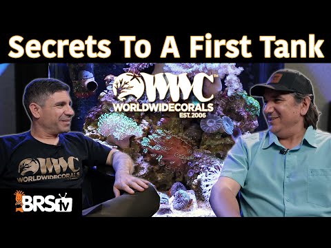 Vic’s 13 Secrets to a SUCCESSFUL First Reef Tank!