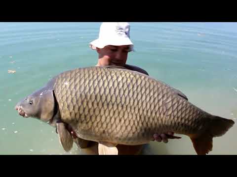 Carp Fishing in the forest @ Carp Friend Baits WWW.SEDOFISHING.COM