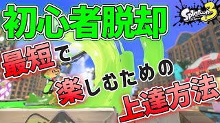 辺りの 「支点」→「視点」です！すみません！（00:01:17 - 00:10:05） - 【初心者脱却】スプラのチュートリアル⁉︎最短でスプラを楽しむための上達法【スプラ3】