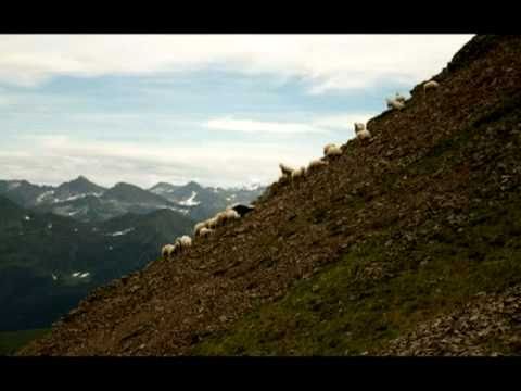 Unofficial - Rodrigo Leao & Beth Gibbons - "Lonely Carousel" + lyrics