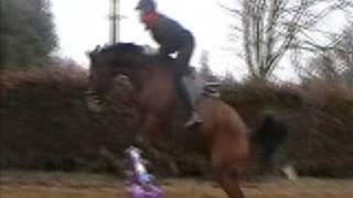 preview picture of video 'Charlie Jumping 17th Feb 09'