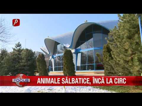 boala celiacă provoacă pierderea în greutate